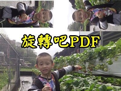 Read more about the article PDF-XCHANGE VIEWER旋轉PDF檔中的特定頁面